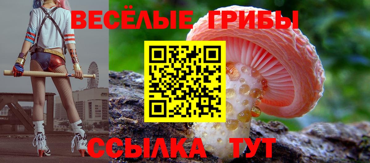 Галлюциногенные грибы ЛСД  Вход с VPN  Торжок 
